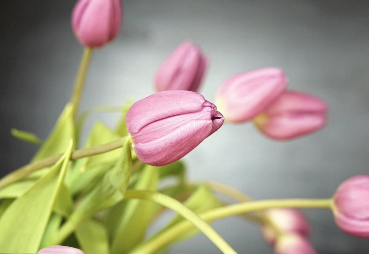 Low floral arrangement in a ceramic bowl on a styled dining table